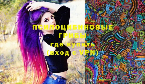 хмурый Алексин