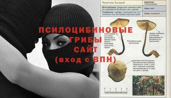 гашиш Аркадак