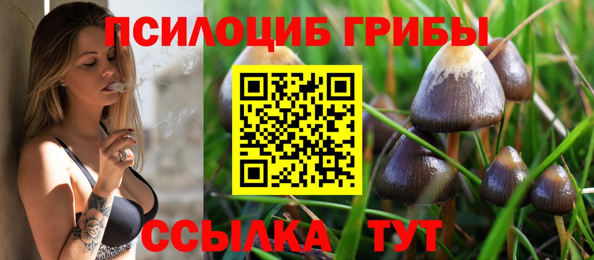 Галлюциногенные грибы прущие грибы  Псилоцибиновые грибы прущие грибы  Вход с VPN  Асбест 