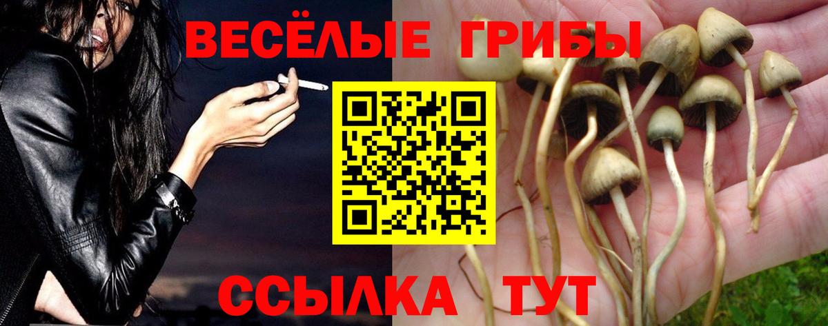 Псилоцибиновые грибы GOLDEN TEACHER Асбест